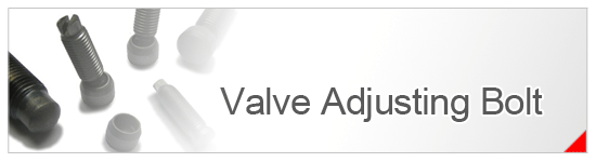 valve-adjusting-bolt.png